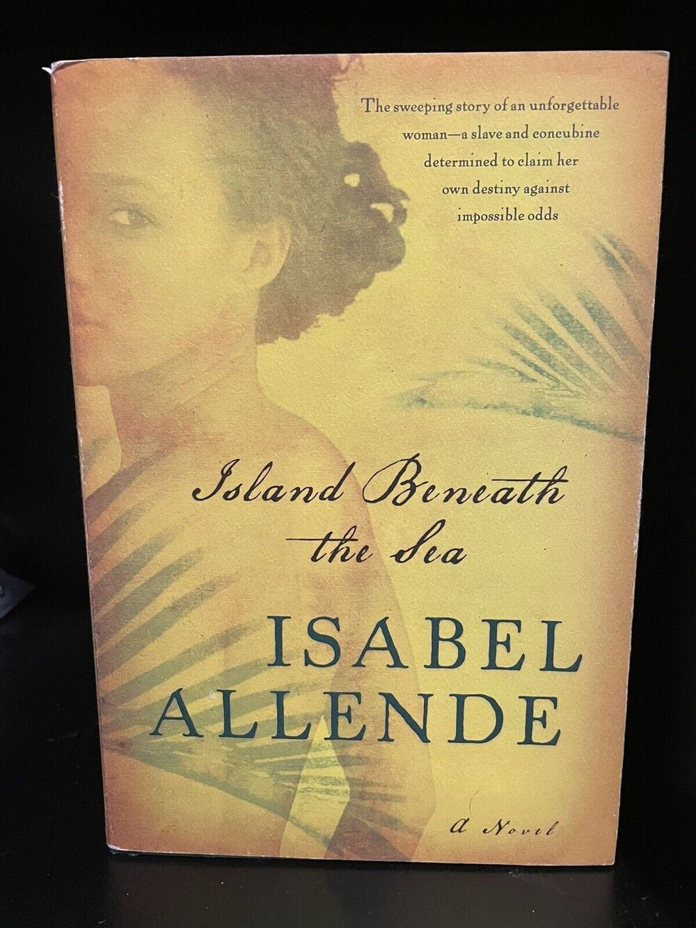 Island Beneath the Sea : A Novel by Isabel Allende (2010, Hardcover)